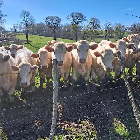 Chez Nous ベッド・アンド・ブレックファスト Brigueuil-le-Chantre