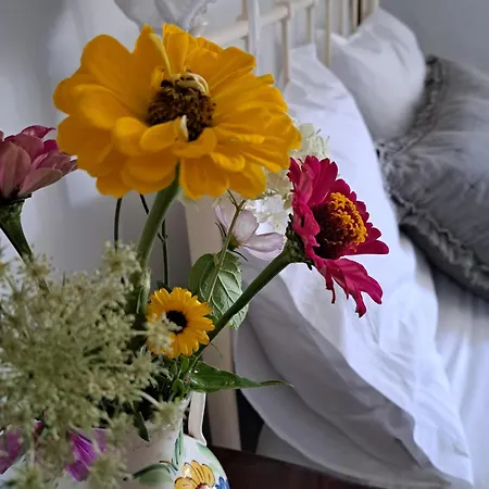 ベッド・アンド・ブレックファスト Chez Nous *