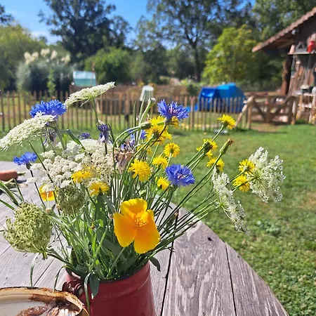 ベッド・アンド・ブレックファスト Chez Nous Brigueuil-le-Chantre