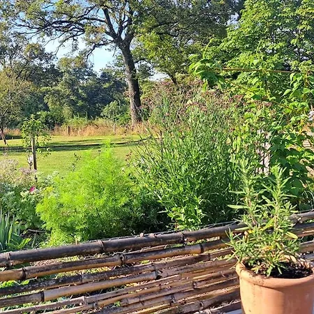 ベッド・アンド・ブレックファスト Chez Nous *